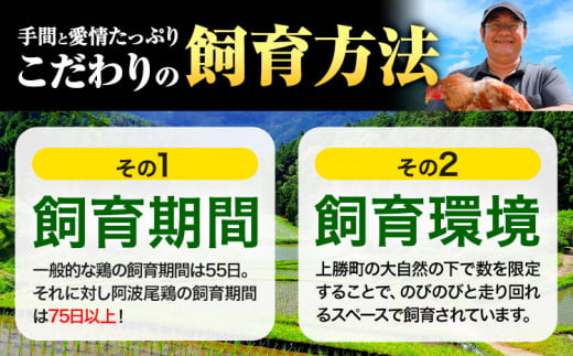 わいが育てた阿波尾鶏。食べてみんで。