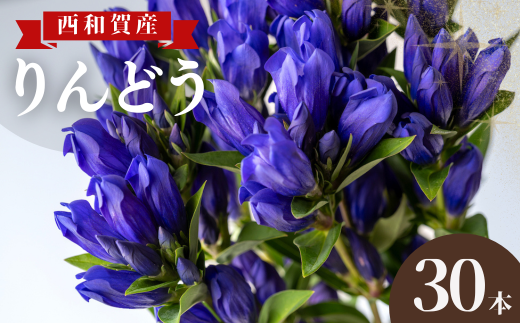 西和賀町 は 冷涼な気候を利用した 花 の栽培が盛ん。りんどう もその中のひとつ