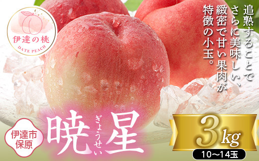 福島の桃 暁星 3kg（10～14玉） 【あかい果樹園】 先行予約 フルーツ 果物 もも モモ momo F20C-896