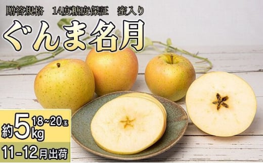 11～12月 贈答規格 蜜入りぐんま名月 約5kg（18～20玉）14度糖度保証【青森りんご・ゆうきアップル・11月・12月】