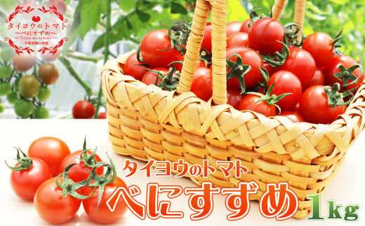 【匠の一粒】タイヨウのトマト『べにすずめ』 １kg　[0008-0031]