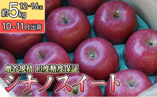 10～11月 贈答規格 シナノスイート約5kg（12～16個）13度糖度保証【青森りんご・ゆうきアップル・10月・11月】