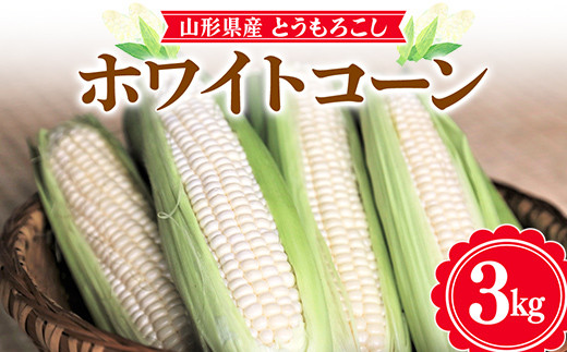 【お天道農園】2024年 山形県産 ホワイトコーン 3kg(8～11本）2024年7月下旬から順次発送  とうきび トウキビ とうもろこし トウモロコシ コーン 野菜 食品 山形県 F2Y-5886 1372340 - 山形県山形県庁