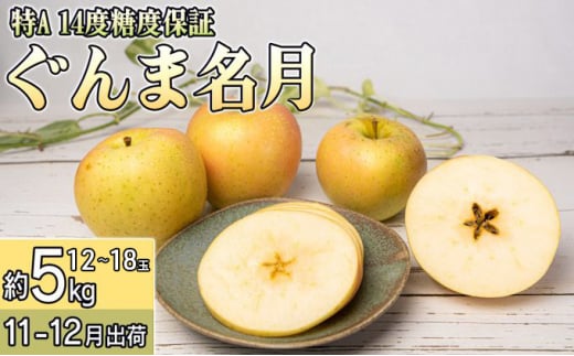 11～12月 特A ぐんま名月約5kg（12～18個）14度糖度保証【青森りんご・ゆうきアップル・11月・12月】