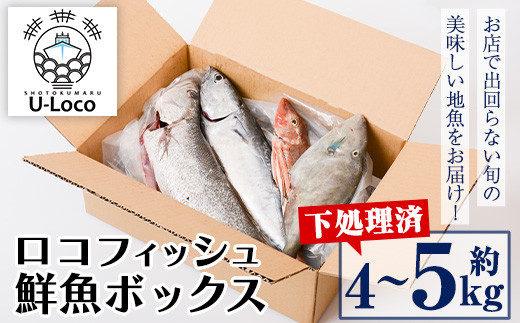 A78004 漁師厳選！ロコフィッシュ(地魚) 下処理済 鮮魚 ボックス(約4～5kg)【昌徳丸】