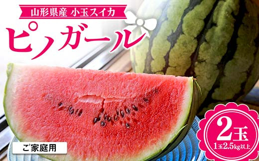 【お天道農園】農業者支援 ご家庭用 2024年 山形県産 小玉スイカ ピノガール 2玉(2.5kg以上) 2024年7月下旬から順次発送  スイカ すいか 西瓜 デザート フルーツ 果物 くだもの 果実 食品 山形県 F2Y-5889 1372344 - 山形県山形県庁