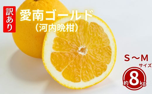 先行予約 訳あり  愛南ゴールド 8kg  S~Mサイズ 河内晩柑 柑橘 フルーツ 果物 蜜柑 みかん くだもの mikan 家庭用 傷 不揃い  サイズミックス かわち ばんかん かんきつ 和製 グレープフルーツ デザート 果実 果汁 甘い ジューシー おいしい 特産品 国産 農園 直送 産地 直送 愛媛県 愛南町 和家農園