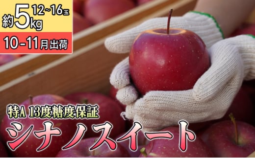 10～11月 特Aシナノスイート約5kg（12～16個）13度糖度保証【青森りんご・ゆうきアップル・10月・11月】
