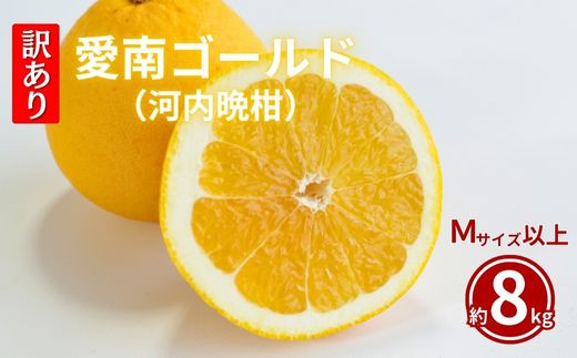 訳あり  愛南ゴールド 8kg  Mサイズ以上 河内晩柑 柑橘 フルーツ 果物 蜜柑 みかん くだもの mikan 家庭用 傷 不揃い  サイズミックス かわち ばんかん かんきつ 和製 グレープフルーツ デザート 果実 果汁 甘い ジューシー おいしい 特産品 国産 農園 直送 産地 直送 愛媛県 愛南町 和家農園 