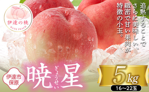 福島の桃 暁星 5kg（16～22玉） 【あかい果樹園】 先行予約 フルーツ 果物 もも モモ momo F20C-897