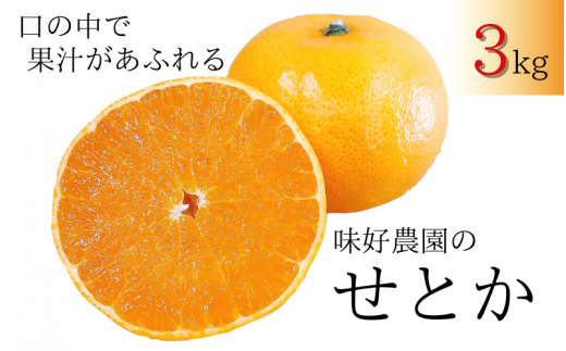 [先行予約・数量限定]地元で大人気の 秀品 せとか 3kg [M〜2Lサイズ混合][2025年3月中旬から3月下旬頃に順次発送][味好農園] /ミカン 蜜柑 柑橘 フルーツ くだもの 果物 甘い ジューシー 果汁があふれる