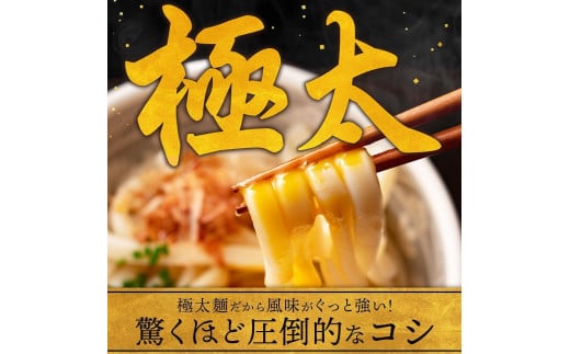 香川県坂出市のふるさと納税 生うどん 麺のみ 9食（300g×3袋）極太麺｜うどん 生麺