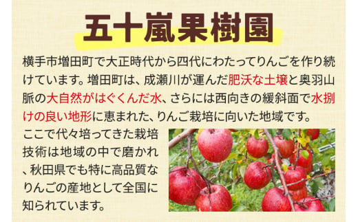 無添加りんごジュース(サンふじ) 25パック - 秋田県横手市｜ふるさとチョイス - ふるさと納税サイト