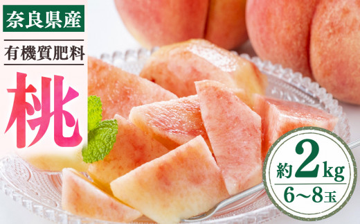 奈良県産 桃 | フルーツ 果物 くだもの 桃 もも モモ ピーチ 奈良県 五條市
