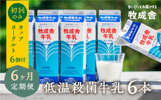 低温殺菌牛乳 6本×6カ月 定期便 牧成舎のこだわり牛乳