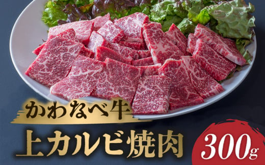 023-21 かわなべ牛上カルビ焼肉300g