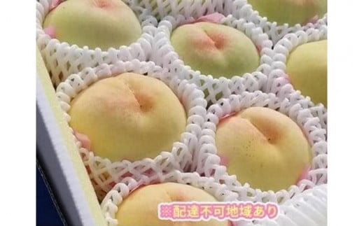 くぼ農園 白桃 セレクション 約3.0kg  949030 - 岡山県岡山市