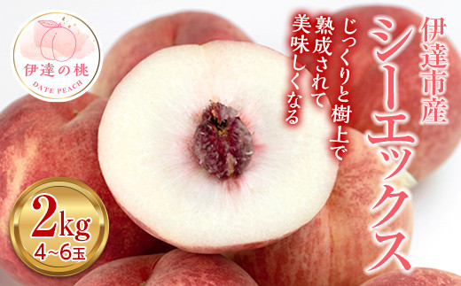福島の桃 シーエックス 2kg（4～6玉） 【あかい果樹園】 先行予約 フルーツ 果物 もも モモ momo F20C-907