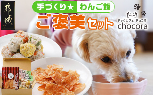 手づくり☆わんご飯「ご褒美セット」_AA-J501_(都城市) わんちゃん用 手づくり 無添加 保存料無し 安心 安全 三色肉団子 ジャーキー 