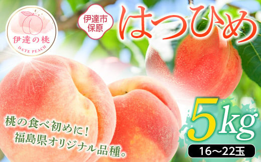 福島の桃 はつひめ 5kg（16～22玉）【あかい果樹園】 先行予約 フルーツ 果物 もも モモ momo F20C-903
