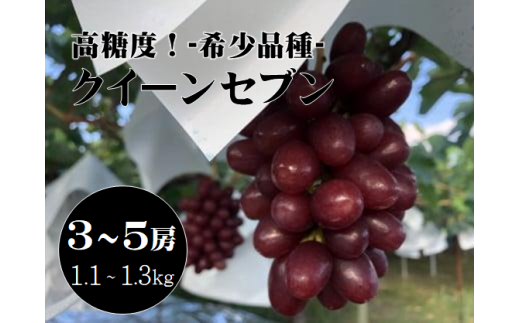 【先行受付2024年発送分】 クイーンセブン  3～5房(1.1kg-1.3kg)  ぶどう 葡萄 フルーツ 果物 やまなし 山梨 産地直送 富士川町 種無し 皮ごと