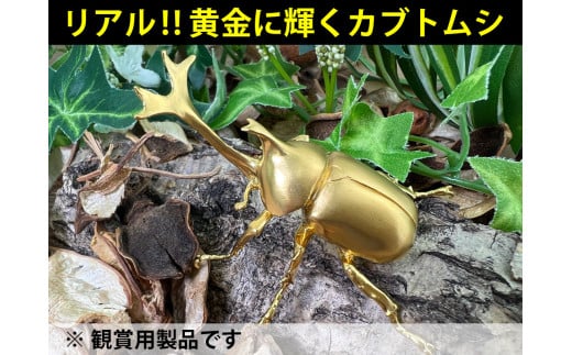 6-33 純金（Ｋ２４）製 兜虫(カブトムシ)