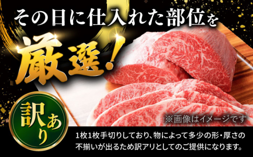 【訳あり】博多和牛 サーロイン ステーキ セット 5kg（250g×20枚）  
