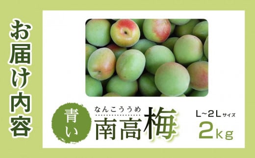 青い南高梅 2kg L〜2L寸 紀州特産 梅酒 梅ジュースに最適！ 【先行予約：2024年6月1日以降順次発送】 -  和歌山県那智勝浦町｜ふるさとチョイス - ふるさと納税サイト