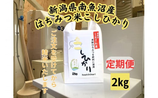 【定期便】　南魚沼しおざわ産　はちみつ米　2kg×6か月