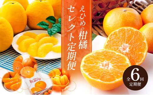 [№5310-0133]えひめの柑橘セレクト6回定期便　 773936 - 愛媛県砥部町