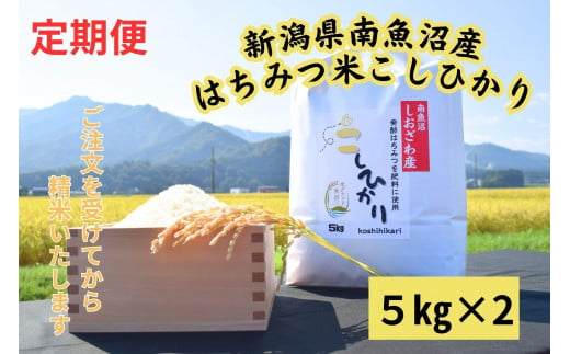 【定期便】　南魚沼しおざわ産　はちみつ米　10kg×6か月