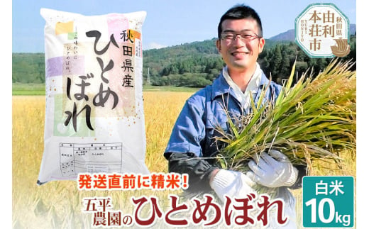 【白米】ひとめぼれ 令和6年産 秋田県産 五平農園のひとめぼれ 10kg 265927 - 秋田県由利本荘市