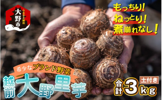 【先行予約】越前大野里芋 3kg ねっとりうまい煮崩れしない！【11月～年内出荷】 