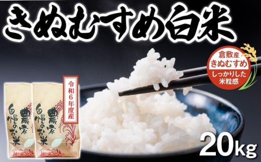 HD10　【先行予約】令和6年度産  きぬむすめ 白米 20kg　岡山県倉敷市産【お米 米 きぬむすめ 白米 国産 岡山県 倉敷市 人気 おすすめ】