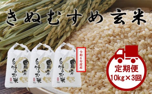 [先行予約]令和6年度産 [定期便]3回連続 岡山県倉敷市産 きぬむすめ 玄米 計30kg 10kgx3回[玄米 米 きぬむすめ 国産 岡山県 倉敷市 人気 おすすめ]