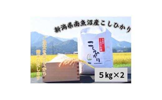 【美味】南魚沼産塩沢コシヒカリ　10kg