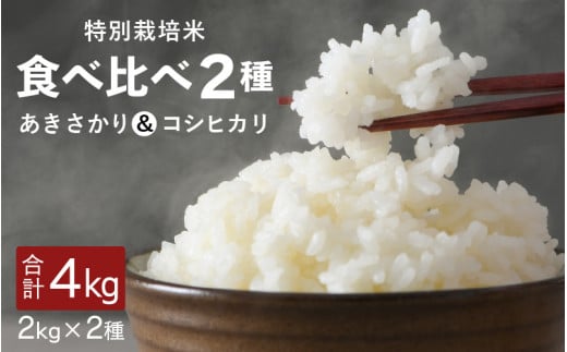 [先行予約][令和7年産・新米]福井県坂井町産 特別栽培米2種食べ比べセット あきさかり・コシヒカリ各2kg(計4kg)[2025年9月下旬以降順次発送予定][お米 こめ コメ 米 食べ比べ こしひかり おいしい ごはん ご飯 ブランド米 ふるさと納税米 産地直送] [A-4838]