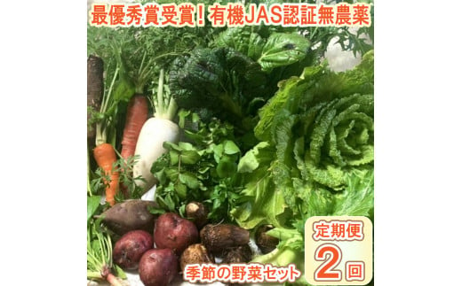 【最優秀賞受賞！甘味＆栄養】有機JAS認証の無農薬、チヨちゃんの野菜２ヶ月定期[953]