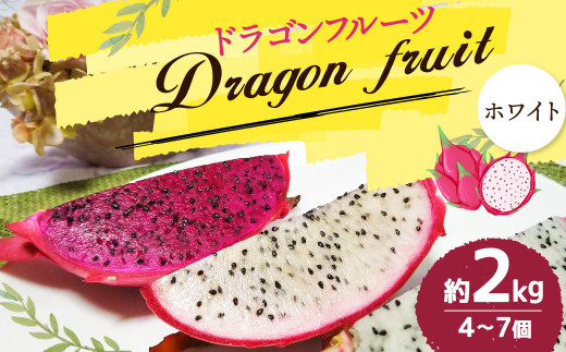 福岡県産 ドラゴンフルーツ ホワイト 約2kg（4～7個）