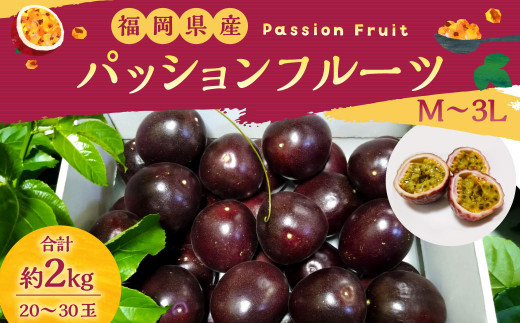 福岡県産 パッションフルーツ 約2kg（M～3L・20～30個）