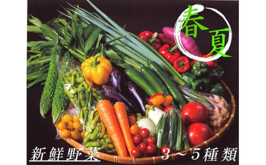 秦野産野菜イメージ