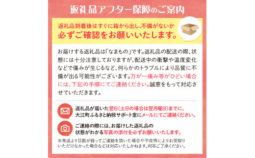 山形県大江町のふるさと納税 《3ヶ月定期便》大江町産 つや姫 10kg(5kg×2袋)×3ヶ月(計30kg)【山形県産 特別栽培米】 【001-T19】