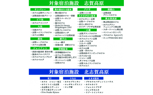 山ノ内町内宿泊補助券（20枚）1年間有効 100,000円分 旅行 宿泊券 ...