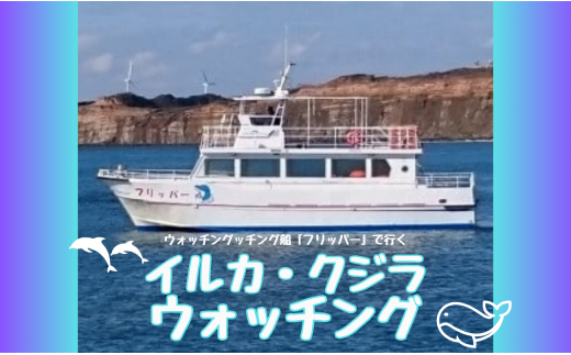 ウォッチング船「フリッパー」で行くイルカ・クジラウォッチング 479438 - 千葉県銚子市