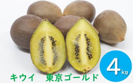 山口さんが育てたキウイ「東京ゴールド」4㎏