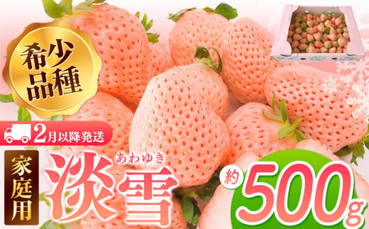 【2月以降発送】ご家庭用淡雪 約500g ｜ フルーツ 果物 いちご 淡雪 熊本 玉名
