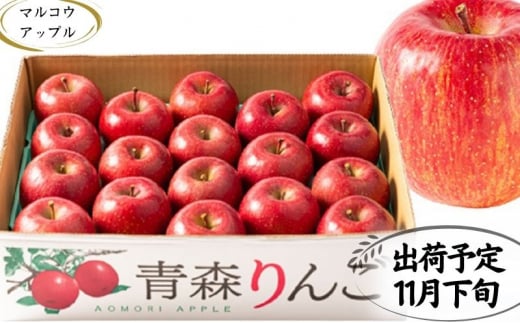 【11月下旬発送】 特A 濃厚サンふじ約5kg　糖度13度以上【青森りんご・マルコウアップル】