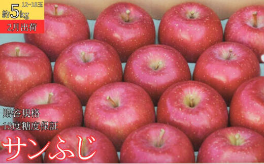 2月 贈答規格 サンふじ約5kg（12～18個）13度糖度保証【青森りんご・ゆうきアップル・2月】