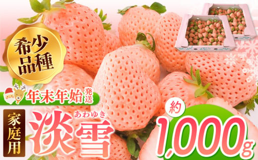 【年末年始発送】ご家庭用淡雪 約1000g ｜ フルーツ 果物 いちご 淡雪 熊本 玉名
