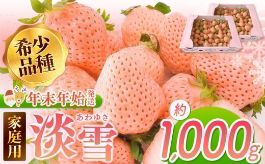 【年末年始発送】ご家庭用淡雪 約1000g | フルーツ 果物 いちご 淡雪 熊本 玉名 1326610 - 熊本県玉名市